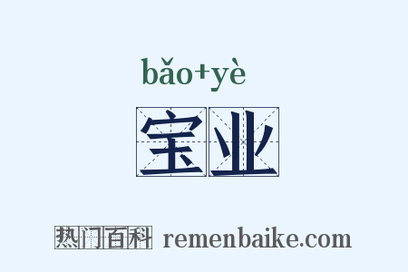 宝业是什么意思的图片
